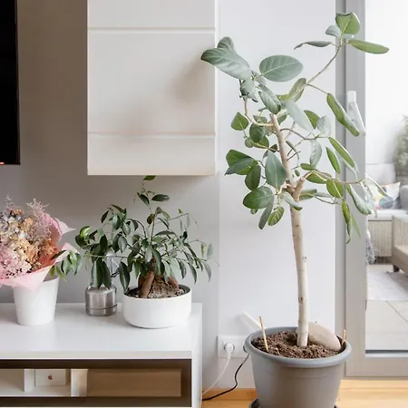 Апартаменты Modern With Terrace Near Prague's Center Прага